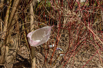 Tree with plastic bag at illegal landfill in park. Environment pollution concept