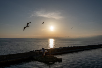 seagulls flying in the Mediterranean sea with background of sky and clouds