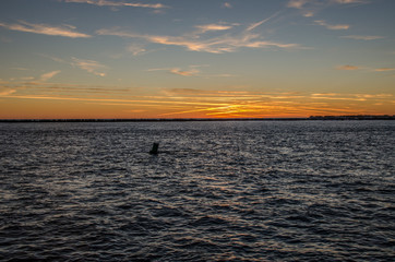 Sunset at the beach in Florida, USA!! It looked so pleasant sitting on the beach and waiting for...