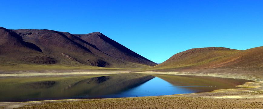 Lagunas altiplanicas in Atacama Chile