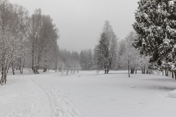 winter park 