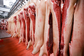 Close up of a lot of pig meat hung and arranged in a row in a processing meat production factory. Horizontal view.