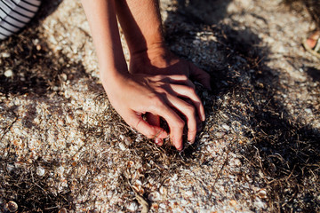 Detailed closeup photo of a woman's and man's hand.