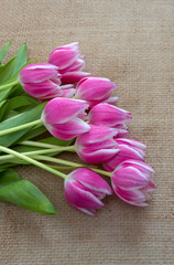 Bouquet of tulips on brown cloth Background.Spring greeting card.