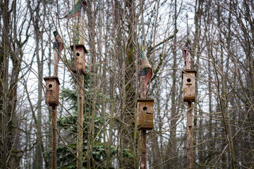 Birdhouses on wooden sticks
