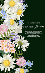 Vector black banner with Luxurious wildflowers