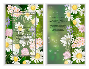 Set of Vector banners with wildflower flowers.