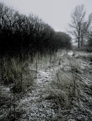 On the field rose a Blizzard, the wind drove the clouds across the sky, prickly snow flies across...