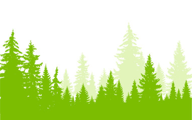 Horizontal banner of coniferous wood in green and white tones. Mist.