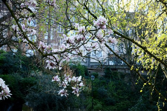 Bruxelles (Belgique) Petit parc pr&egrave;s de la station de m&eacute;tro &laquo; Parvis de Saint-Gilles &raquo;