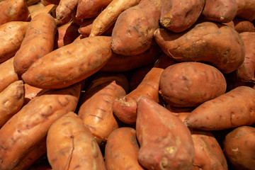 fresh potatoes at the market