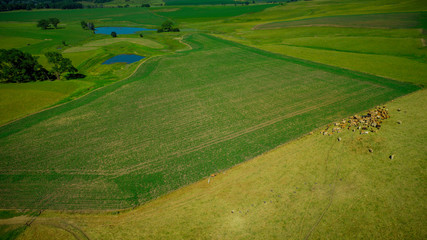 Arial view of farmland in South Africa