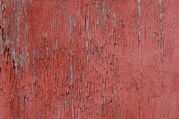 Obraz premium old wood background