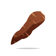 Cassava vector isolated illustration