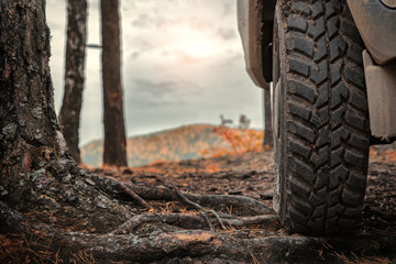 Fototapeta na wymiar mud tire travel close-up