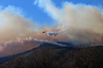 a canadair airplane shoots water on a big fire in the Pisan mountains