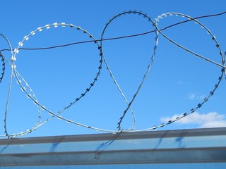 Barbed wire to protect the territory. Closed perimeter of the protected enterprise. Photo