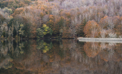Fototapeta na wymiar Reflection of autumn trees in water