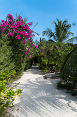 Wege auf einer Insel die zum Glück führen