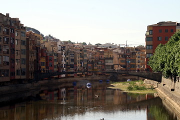 Fototapeta premium Temps de Flors