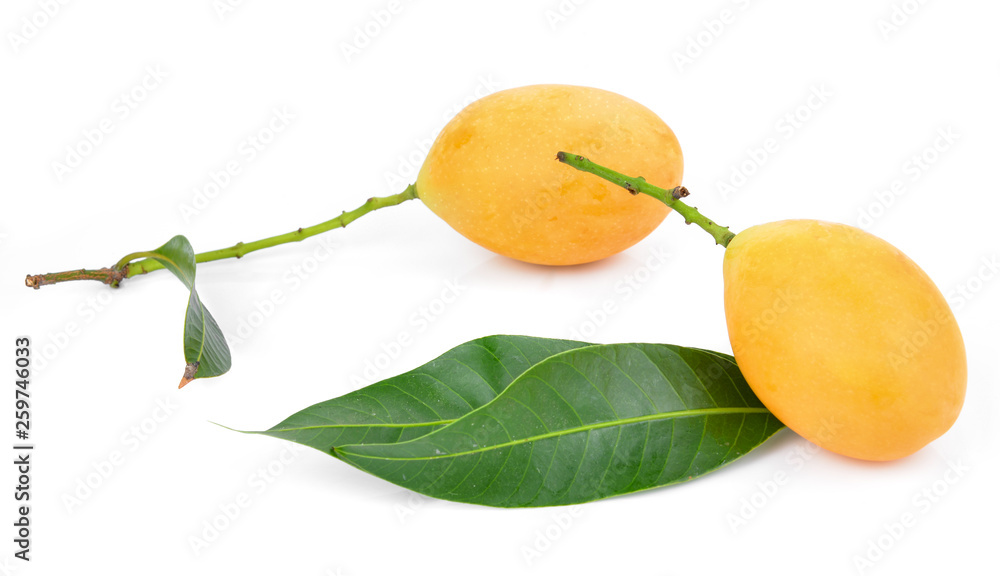 Wall mural Marian plum thai fruit isolated on white background