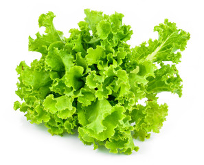 Fototapeta premium fresh green lettuce leaves isolated on white