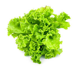 fresh green lettuce leaves isolated on white