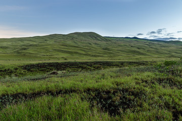 Fototapeta premium Rolling green hills, covered with grass at dawn on Hawaii's Big Island. 