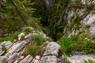 Mountain scenery in the Alps in summer, with green forests, on a rainy day