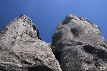 Castle Hill, New Zealand, South Island: Scattered Limestone boulders on a meadow contrasting with...