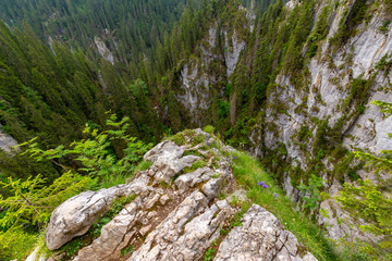 Fototapeta na wymiar Mountain scenery in the Alps in summer, with green forests, on a rainy day