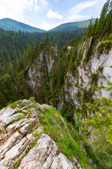 Mountain scenery in the Alps in summer, with green forests, on a rainy day