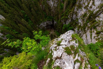 Mountain scenery in the Alps in summer, with green forests, on a rainy day