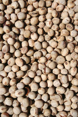 Soybeans texture background.Top view