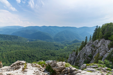 Summer mountain scenery in the Alps, with rocky clifs and fir tree forests