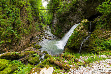Pristine river and waterfalls deep in the mountains, in summer, and bright green foliage