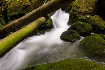 Pristine river and waterfalls deep in the mountains, in summer, and bright green foliage