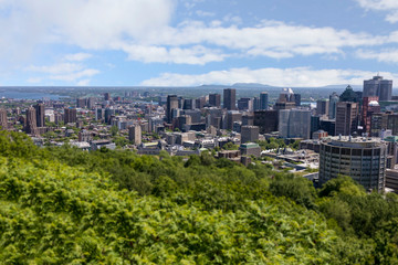 Montreal cityscape in summer