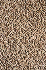 Soybeans texture background.Top view