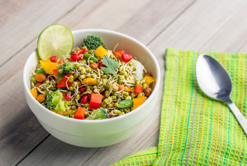 sprouted lentil salad