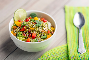 sprouted lentil salad