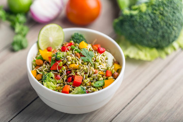sprouted lentil salad