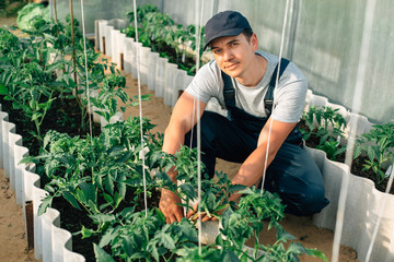 Handsome cheerful young gardener in overall and cap working in greenhouse. Portrait of joyful...