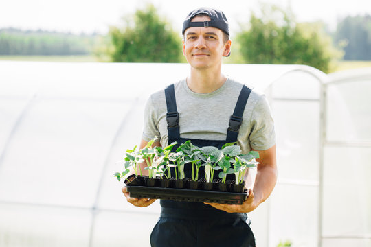 Handsome cheerful young gardener in overall standing with seedlings near greenhouse. Portrait of joyful farmer.