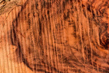 The abstract natural slab wood texture of the background. The creative concept of ecological nature. Background mahogany pattern.