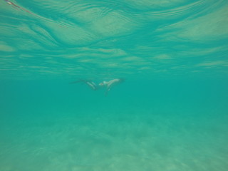 DCIM\100GOPRO\GOPR2041.