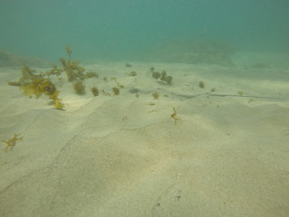 DCIM\100GOPRO\GOPR2125.