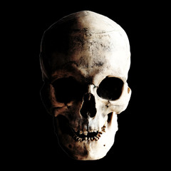 Contrast image of a real human skull on a dark background. Isolated on black.