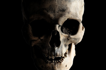 Contrast image of a real human skull on a dark background. Isolated on black.