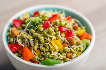 sprouted lentil salad